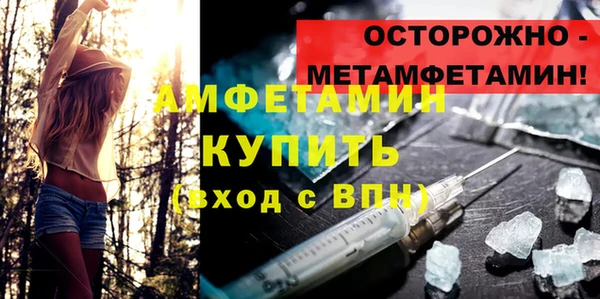 гидра Вяземский