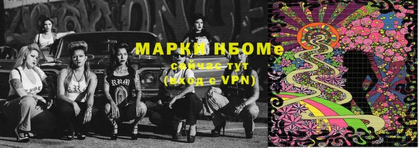 гидра Вяземский
