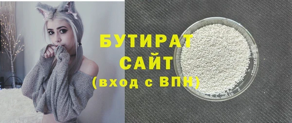 гидра Вяземский