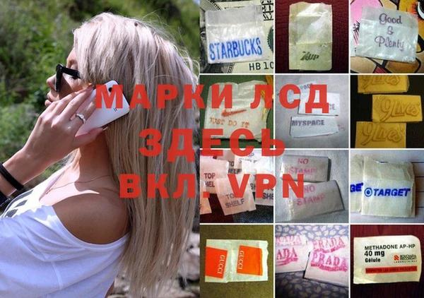 гидра Вяземский