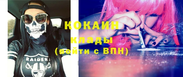 гидра Вяземский
