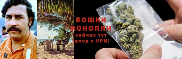 бошки Горнозаводск